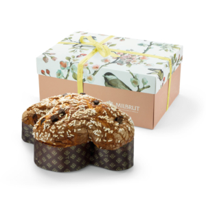 Colomba Williams kg.1