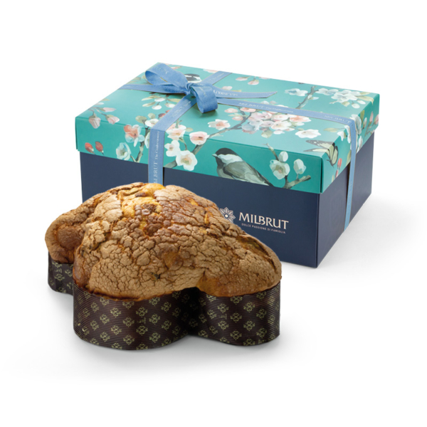 Colomba Noire kg.1